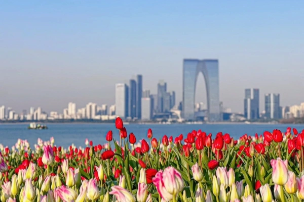 일 2: Suzhou 출발