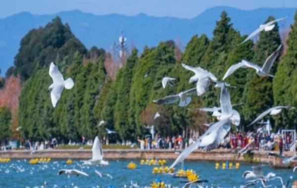 1日目: 昆明到着