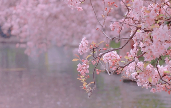 День 1: Куньмин прибытие