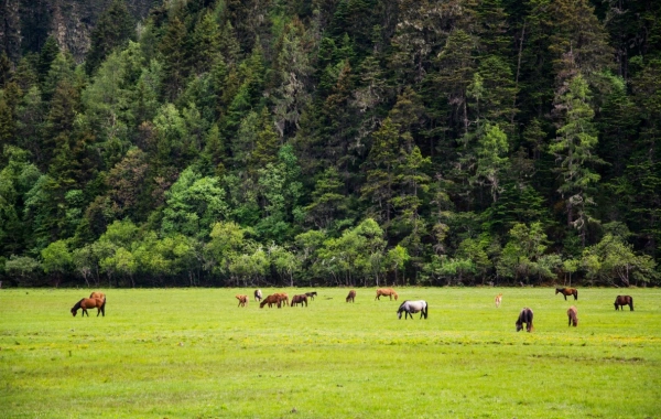 День 7: вылет Шангри-Ла