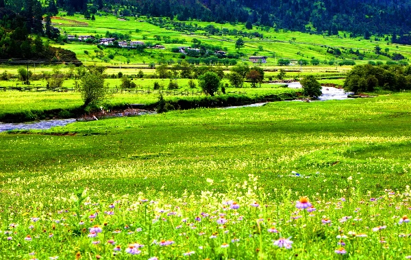 День 7: вылет Шангри-Ла