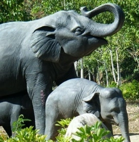 4 日 Xishuangbanna ツアー