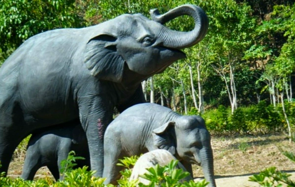 4 日 Xishuangbanna ツアー