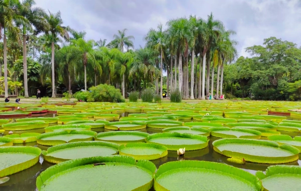 День 3: Сишуанбанна