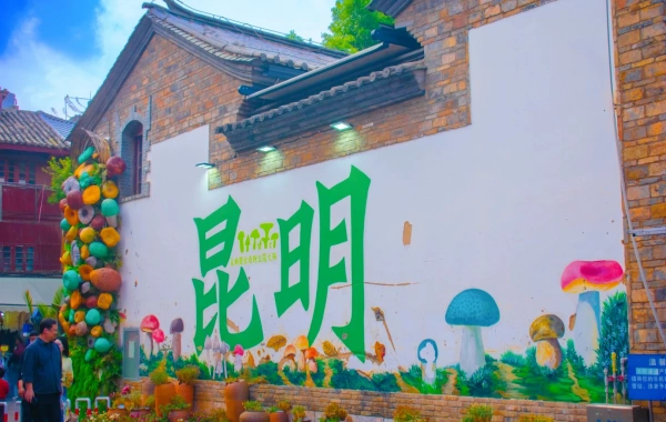 昆明への日帰り旅行(石の森)