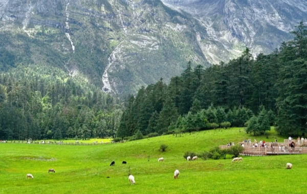 اليوم 3: ليجيانغ ديراج